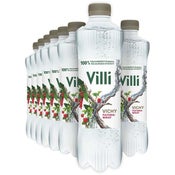 Villi Vichy Puutarhamarjat kivennäisvesi 500ml