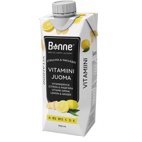 Sitruuna & Inkivääri vitamiinijuoma 500ml